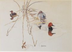 ERIC ARNOLD ENNION (1900–1981) WATERCOLOUR ON GREY PAPER Three ducks on the water Signed lower right