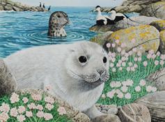 CHRIS SHIELDS (TWENTIETH/ TWENTY FIRST CENTURY) GOUACHE Baby seal in foreground, seal and eider duck