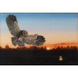 CHRIS SHIELDS (TWENTIETH/ TWENTY FIRST CENTURY) GOUACHE Tawny owl about to strike on a moth,