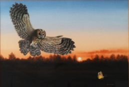 CHRIS SHIELDS (TWENTIETH/ TWENTY FIRST CENTURY) GOUACHE Tawny owl about to strike on a moth,