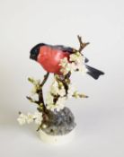 DOROTHY DOUGHTY FOR ROYAL WORCESTER, LIMITED EDITION CHINA MODEL, ‘BULLFINCH PYRRHULA EUROPAEA AND