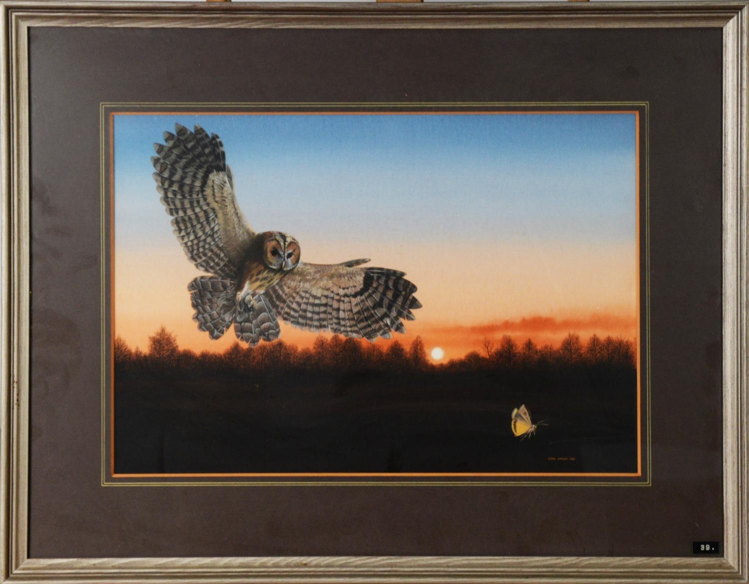 CHRIS SHIELDS (TWENTIETH/ TWENTY FIRST CENTURY) GOUACHE Tawny owl about to strike on a moth, - Image 2 of 2