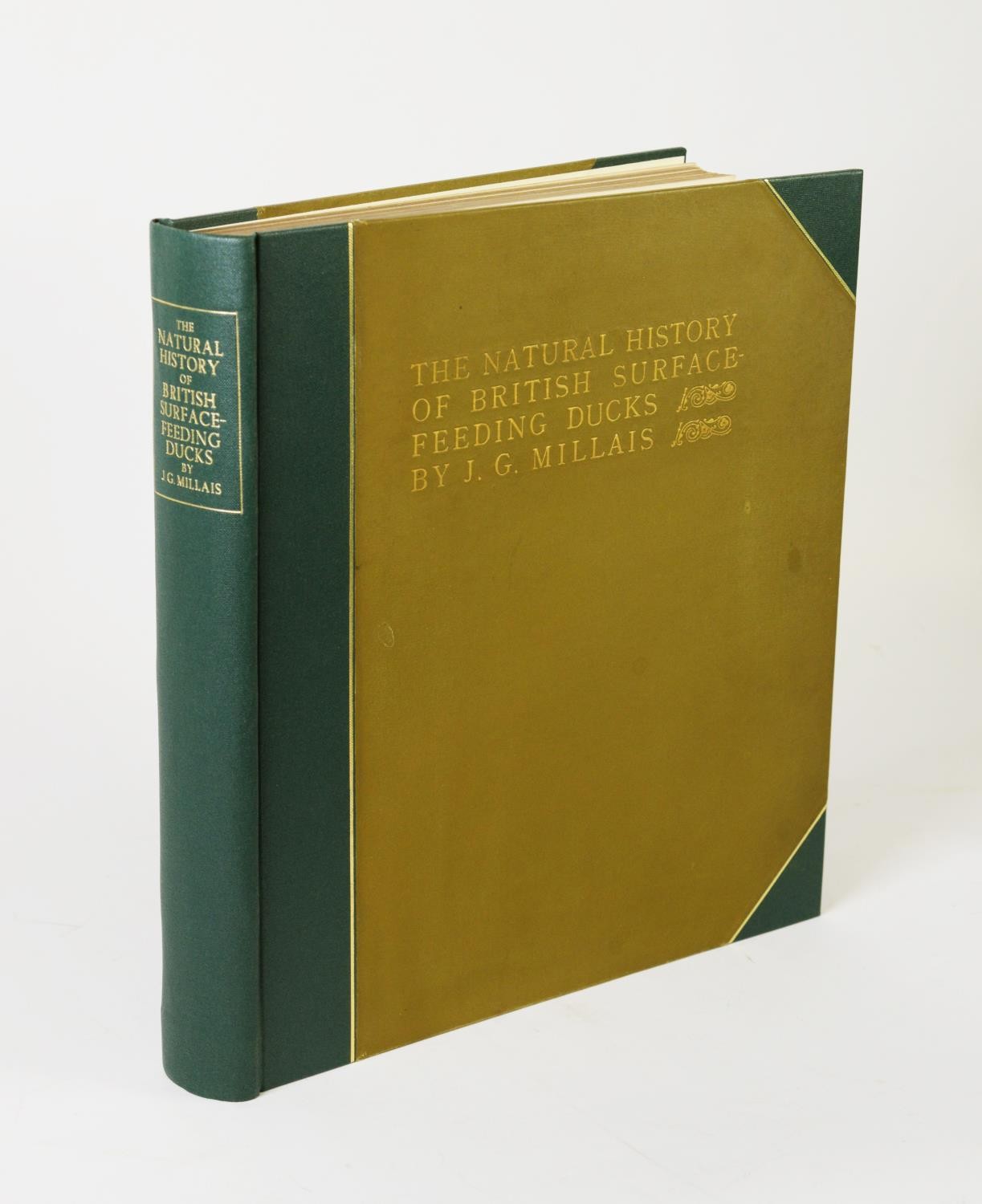J G Millais - Natural History of British Surface Feeding Birds, pub Longmans Green & Co, ltd ed