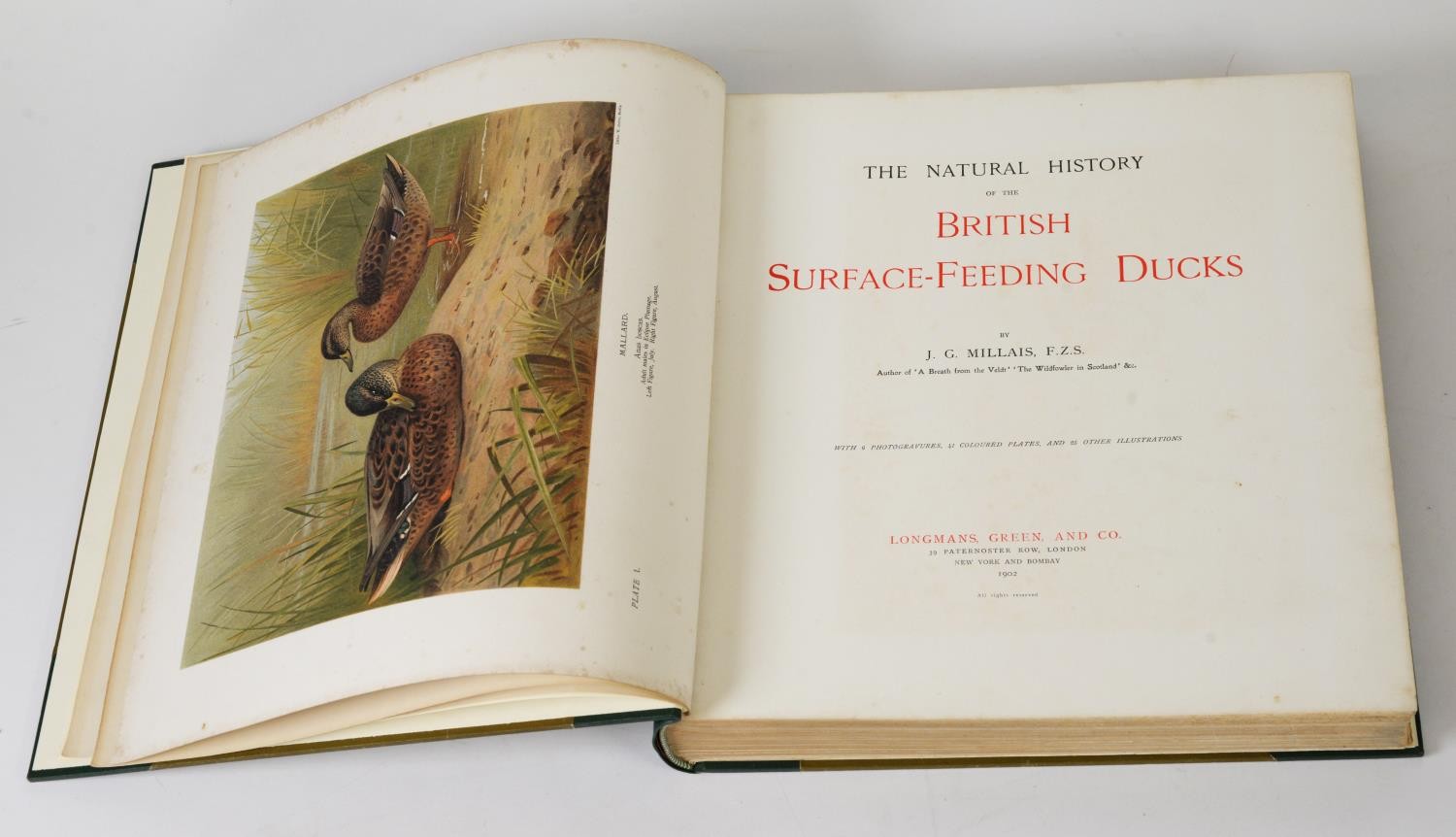 J G Millais - Natural History of British Surface Feeding Birds, pub Longmans Green & Co, ltd ed - Image 2 of 3