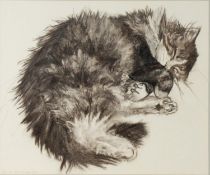 JANET SWANBOROUGH (b.1954) TWO CHARCOAL DRAWINGS Cat sleeping Signed in pencil 12 ½” x 15” (31.7cm x