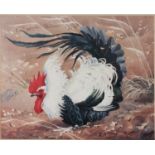 AFTER CHARLES FREDERICK TUNNICLIFFE (1901-1979) COLOUR REPRODUCTION PRINT ‘Cockerel’ Unsigned 13”