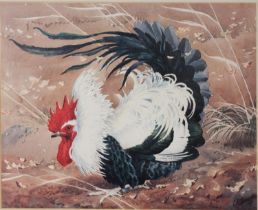 AFTER CHARLES FREDERICK TUNNICLIFFE (1901-1979) COLOUR REPRODUCTION PRINT ‘Cockerel’ Unsigned 13”