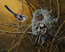 RALPH WATERHOUSE (b.1943) GOUACHE Two long-tailed tits outside their nest of chicks Signed lower