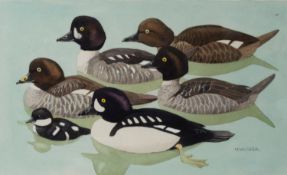 NOEL WILLIAM CUSA (1909 – 1990) WATERCOLOUR Six shell ducks on the water Signed lower right 7” x
