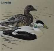 ERIC ARNOLD ENNION (1900–1981) WATERCOLOUR Two eider ducks, male and female swimming Signed top left