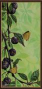 CHRIS SHIELDS (TWENTIETH/ TWENTY FIRST CENTURY) WATERCOLOUR Butterflies on a fruiting plumb tree