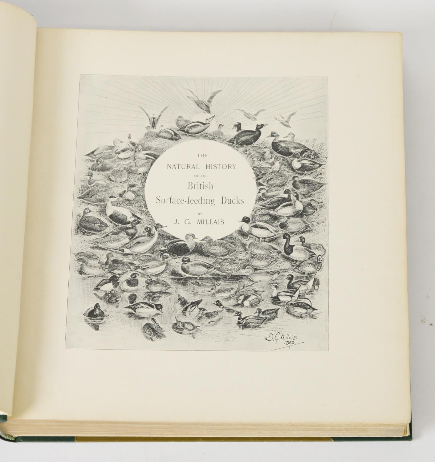 J G Millais - Natural History of British Surface Feeding Birds, pub Longmans Green & Co, ltd ed - Image 3 of 3