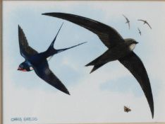 CHRIS SHIELDS (TWENTIETH/ TWENTY FIRST CENTURY) TWO WATERCOLOURS Swallow in flight Signed lower left