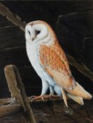 RALPH WATERHOUSE (b.1943) GOUACHE Barn owl perched in rafters Signed lower left 14 ¼” x 11” (36cm