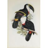 EDWARD LEAR (1812-1880) TWO ORIGINAL HAND COLOURED LITHOGRAPHS Printed by C Hullmandel ‘Culmated