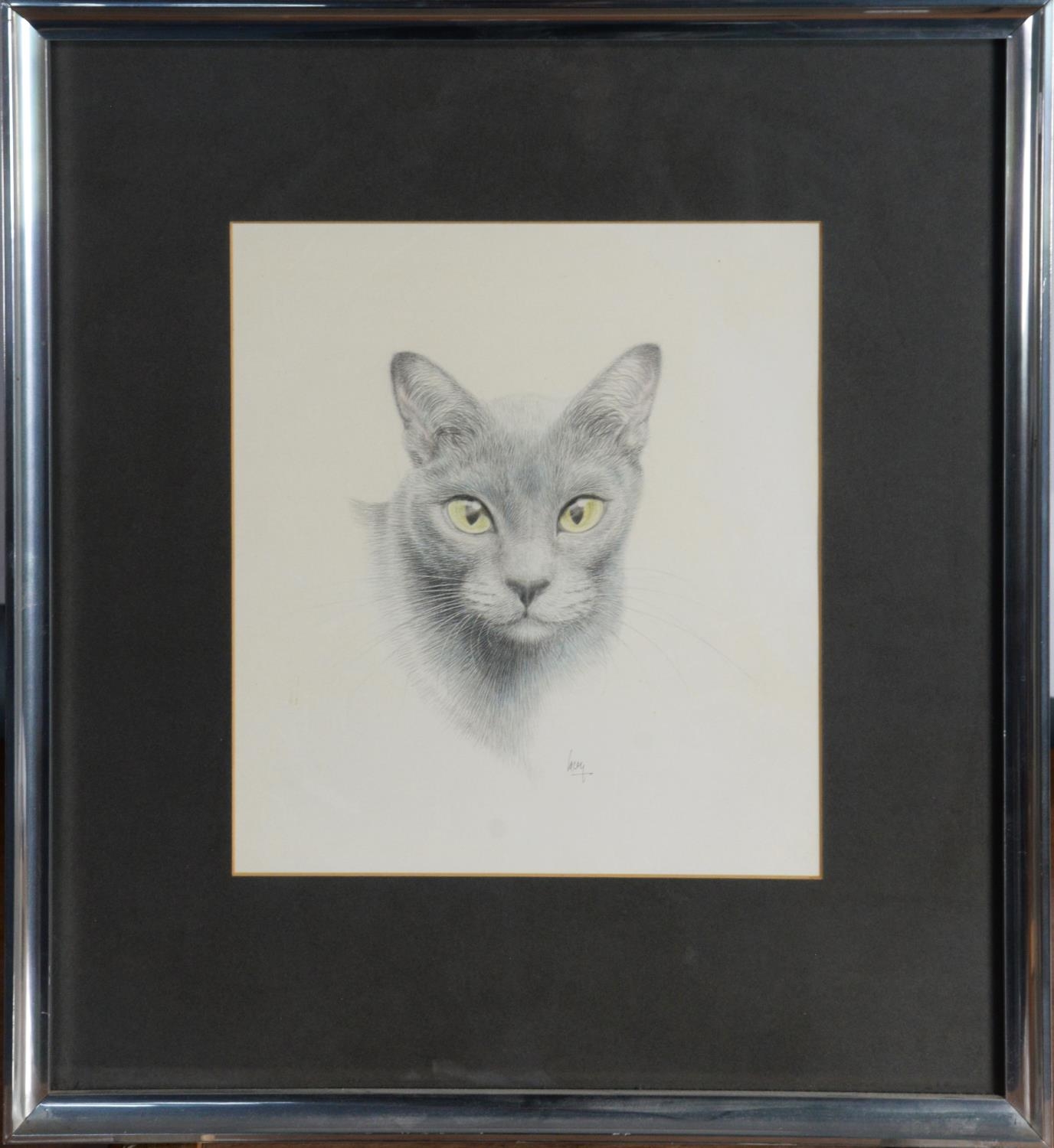 JAMES LACY (TWENTIETH/ TWENTY FIRST CENTURY) PENCIL 'Blue Burmese' head of a cat, the eyes - Image 2 of 2