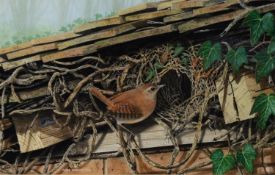 CHRIS SHIELDS (TWENTIETH/ TWENTY FIRST CENTURY) GOUACHE Wren by nest under the eaves Signed lower