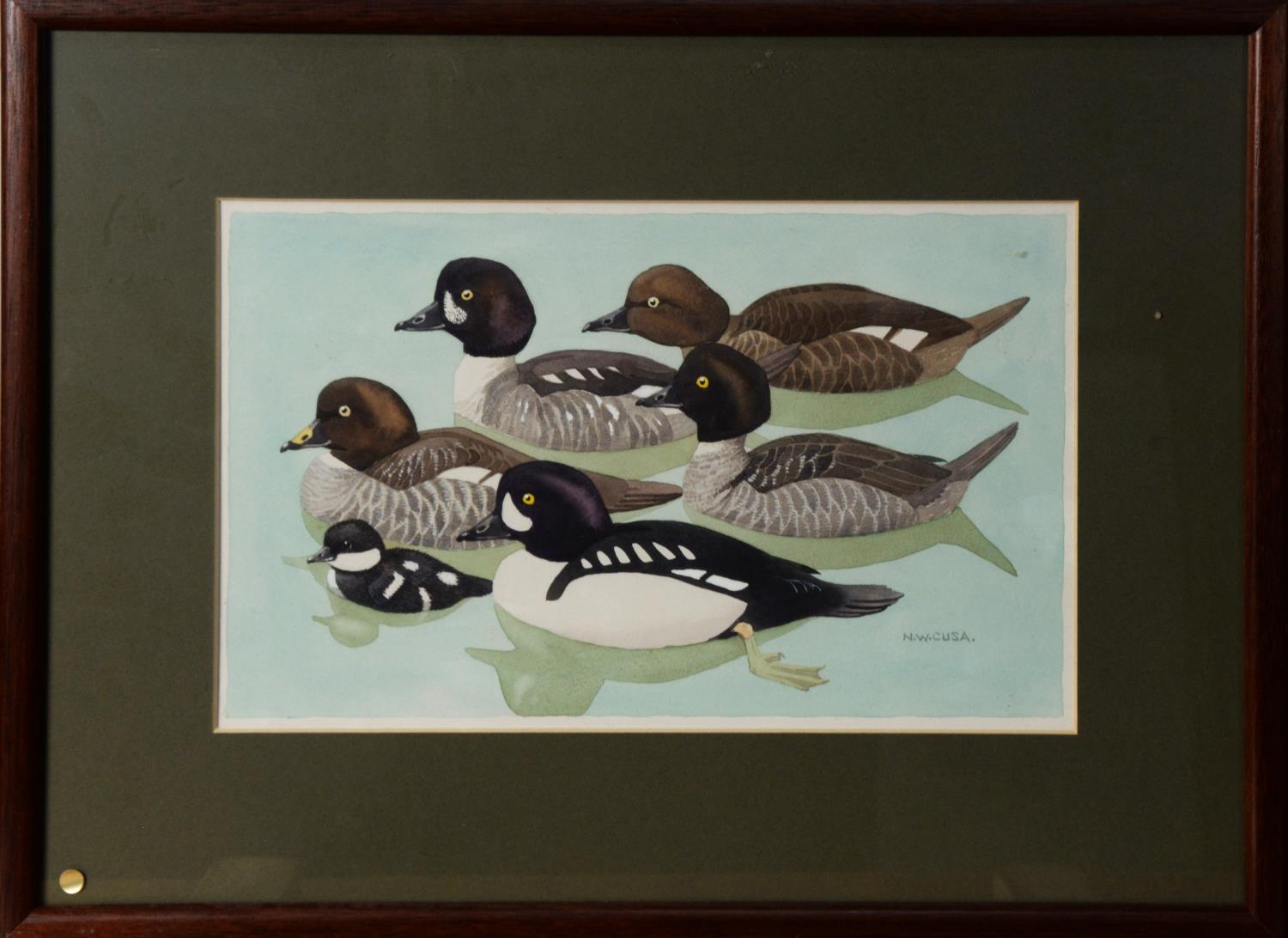 NOEL WILLIAM CUSA (1909 – 1990) WATERCOLOUR Six shell ducks on the water Signed lower right 7” x - Image 2 of 2