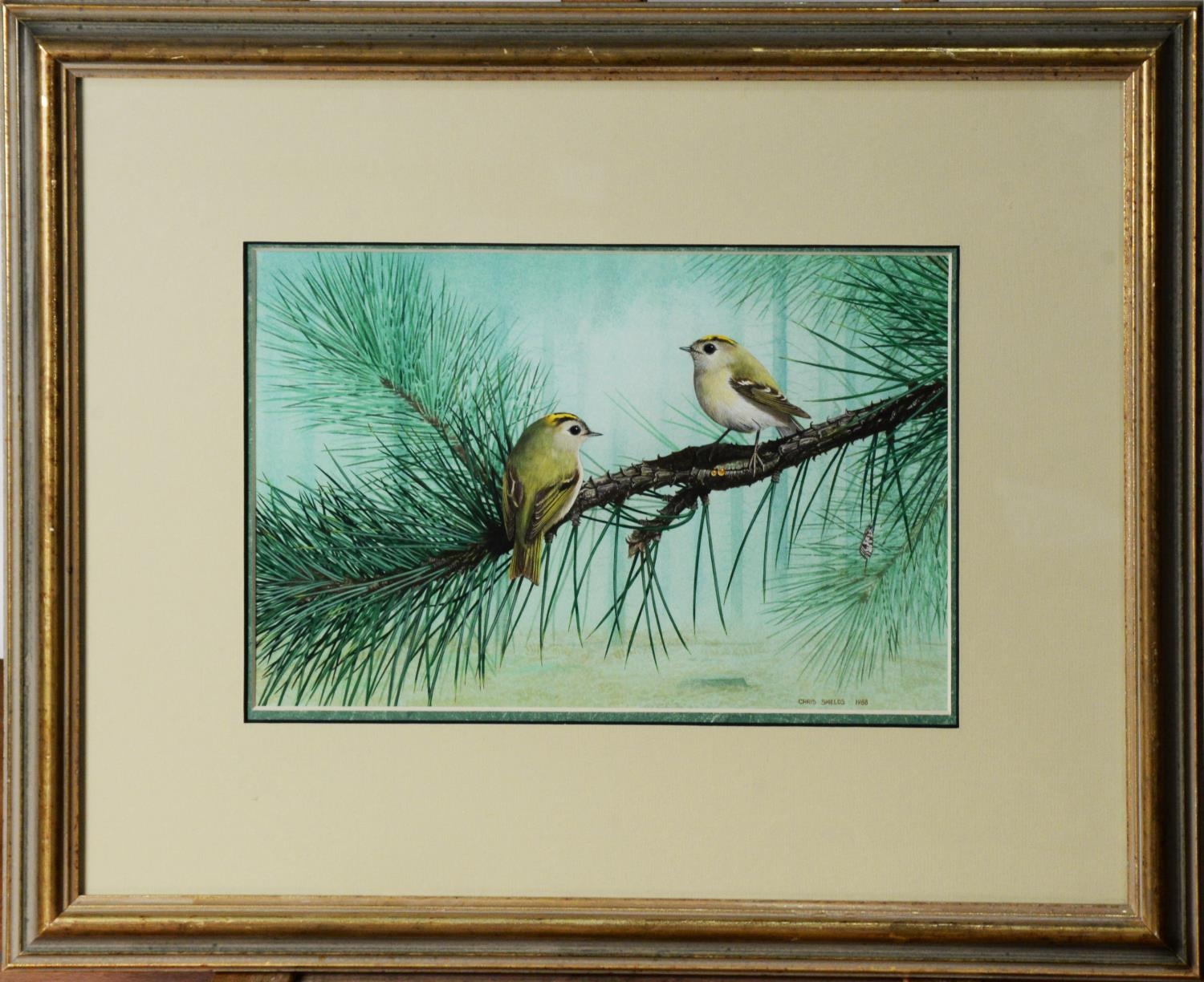 CHRIS SHIELDS (TWENTIETH/ TWENTY FIRST CENTURY) GOUACHE Two small birds on a fir tree branch - Image 2 of 2