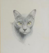 JAMES LACY (TWENTIETH/ TWENTY FIRST CENTURY) PENCIL 'Blue Burmese' head of a cat, the eyes