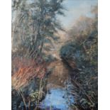 MARGARET BROWN (TWENTIETH/ TWENTY FIRST CENTURY) OIL PAINTING ‘Autumn in Styal’, woodland scene with