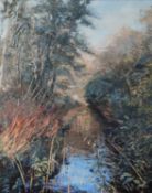 MARGARET BROWN (TWENTIETH/ TWENTY FIRST CENTURY) OIL PAINTING ‘Autumn in Styal’, woodland scene with