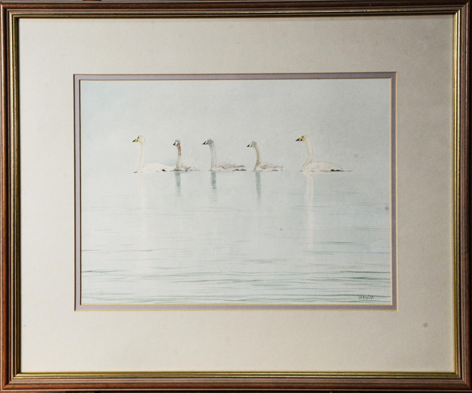 W NIELD (TWENTIETH/ TWENTY FIRST CENTURY) WATERCOLOUR Five Swans Signed lower right 10 ¼” x 14” ( - Image 2 of 2