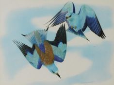 WHIMS LA MARES (TWENTIETH/ TWENTY FIRST CENTURY) WATERCOLOUR Two birds engaging in flight Signed