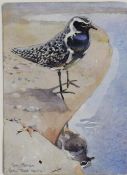 ERIC ARNOLD ENNION (1900–1981) WATERCOLOUR, page from a sketch book ‘Grey Plover’ at the water’s