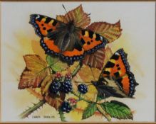 CHRIS SHIELDS (TWENTIETH/ TWENTY FIRST CENTURY) PAIR OF GOUACHE DRAWINGS Butterflies on fruit Signed