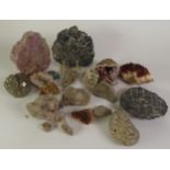 COLLECTION OF GEOLOGICAL SPECIMENS, including; AMMONITE, AMETHYST QUARTZ, PYRITES, BORNITE, and a