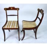 SET OF FOUR 19TH CENTURY REGENCY STYLE DINING CHAIRS, with gilt brass mounts and with pin-stuff