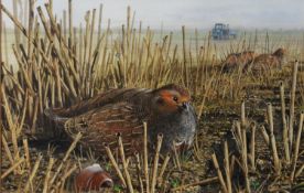 CHRIS SHIELDS (TWENTIETH/ TWENTY FIRST CENTURY) GOUACHE Grouse resting amongst corn stalks Signed