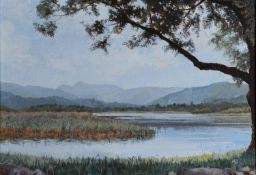 MARGARET BROWN (TWENTIETH/ TWENTY FIRST CENTURY) OIL ON CANVAS Lake with hills in background