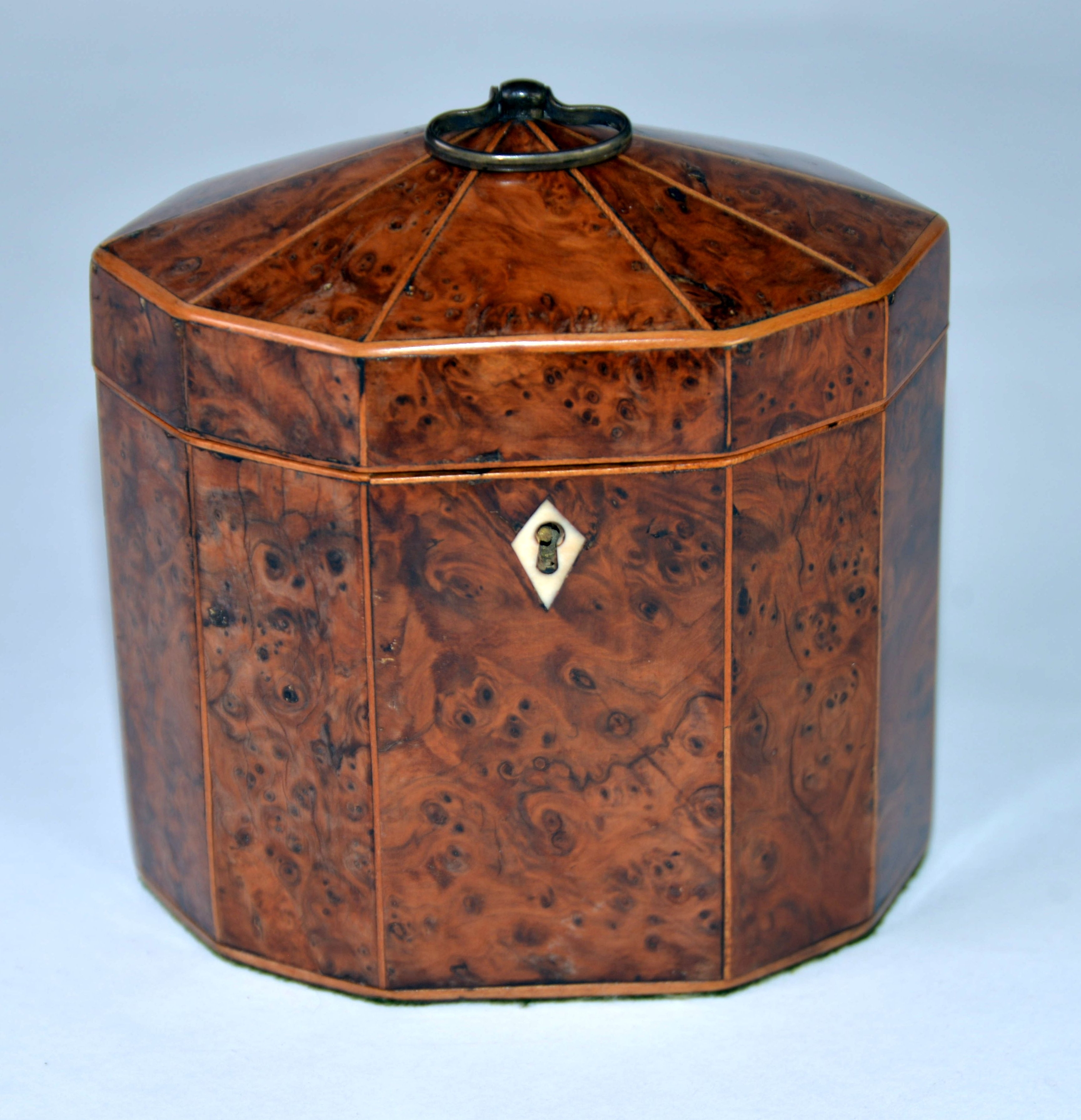 GEORGE III YEWTREE WOOD and BOXWOOD STRUNG DECAGONAL TEA CADDY with BRASS carrying handle, lidded