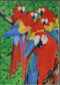 CHRIS SHIELDS (TWENTIETH/ TWENTY FIRST CENTURY) GOUACHE Five parrots perched on a branch Signed