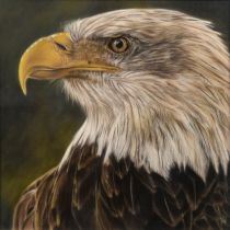 VALERIE SIMMS (MODERN) PASTEL ‘The Eagle has Landed’ Signed, titled to gallery label verso 15 ½” x