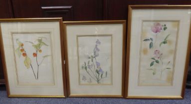 GEORGE JONES (c 1830 - 1893) THREE WATERCOLOUR STUDIES OF ROSES, PHYSALIS AND SWEETPEA One signed