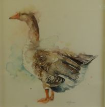 AMANDA GORDON (MODERN) WATERCOLOUR ‘Wild Greylag Goose’ Signed, titled to gallery label verso