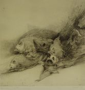 RENE VERIS (b.1940) ETCHING Fish Signed, indistinctly titled and numbered 118/150 in pencil 15 ½"