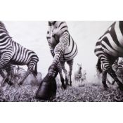 ANUP SHAH (b.1949) ARTIST SIGNED LIMITED EDITION ‘DELUXE’ BLACK AND WHITE PHOTOGRAPHIC PRINT ‘