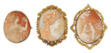 Three oval carved shell cameo brooches