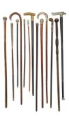 A collection of 19th century and later walk sticks and canes