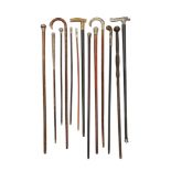 A collection of 19th century and later walk sticks and canes
