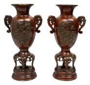 A pair of Meiji period Japanese bronze vases