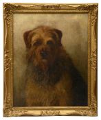 Leonard Richard Finn (Born 1891 - Active 1911)