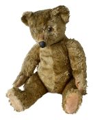 A large prewar dark mohair teddy bear