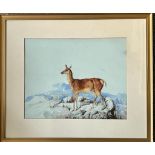 UNSIGNED WATERCOLOUR, DEER STANDING ON ROCKY OUTCROP, APPROX 33 x 42cm