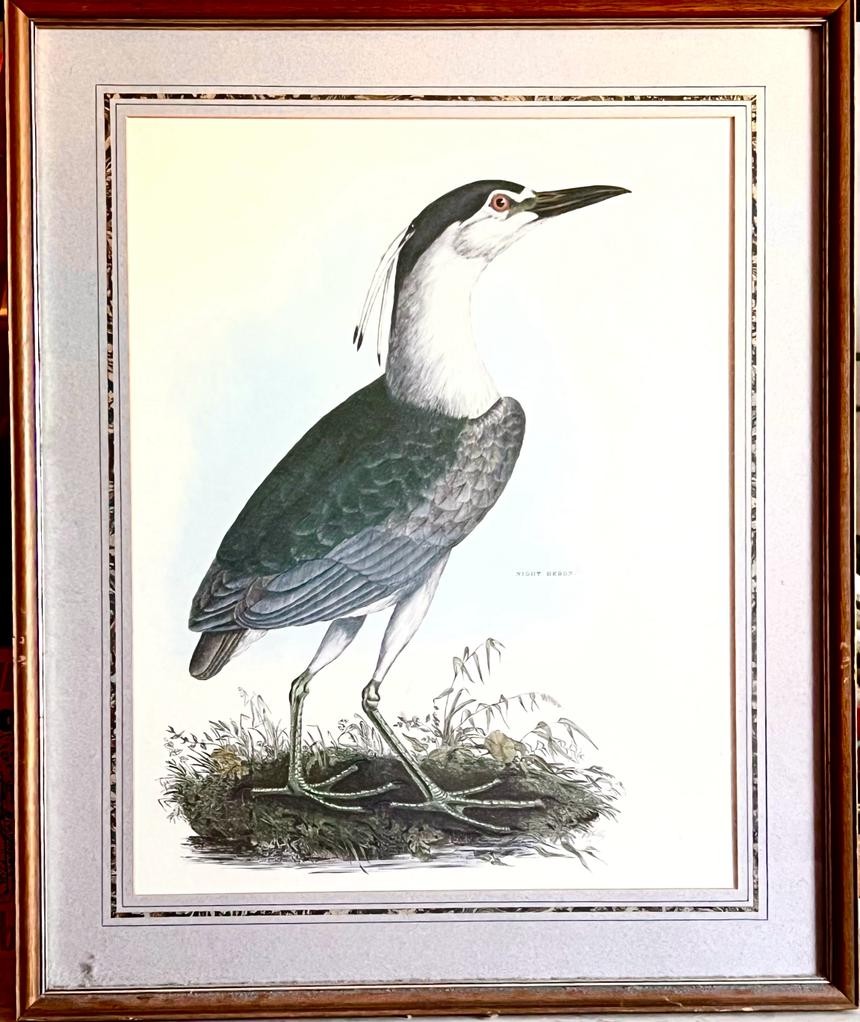 POLYCHROME PRINT/LITHOGRAPH, NIGHT HERON, APPROX 52 x 40cm