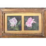 WILMOT FLORENCE OIL ON CANVAS "TWO ROSES" APP. 16 X 16CM